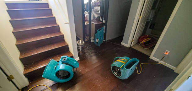 Best Water damage restoration services  in Sugar Creek, MO