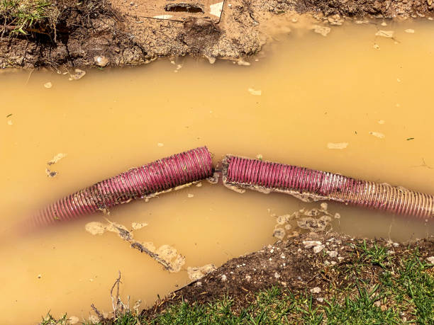 Best Local water damage restoration  in Sugar Creek, MO