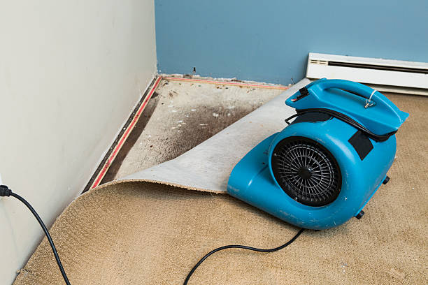 Best Ceiling water damage repair  in Sugar Creek, MO